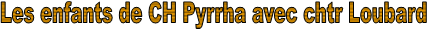 Les enfants de CH Pyrrha avec chtr Loubard