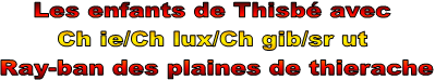 Les enfants de Thisb avec 
Ch ie/Ch lux/Ch gib/sr ut 
Ray-ban des plaines de thierache