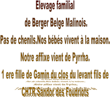 Elevage familial
 de Berger Belge Malinois.
Pas de chenils.Nos bbs vivent  la maison.
Notre affixe vient de Pyrrha.
1 ere fille de Gamin du clos du levant fils de
CHTR Sandor des Foudriots