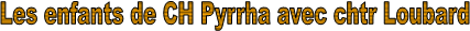 Les enfants de CH Pyrrha avec chtr Loubard