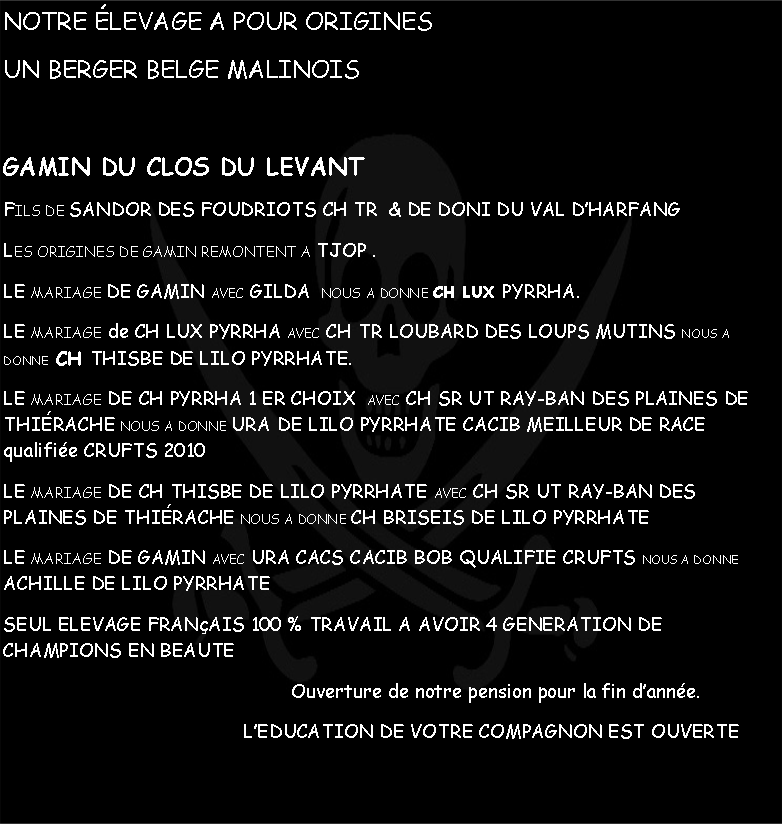 Zone de Texte: NOTRE LEVAGE A POUR ORIGINES UN BERGER BELGE MALINOISGAMIN DU CLOS DU LEVANT FILS DE SANDOR DES FOUDRIOTS CH TR  & DE DONI DU VAL DHARFANGLES ORIGINES DE GAMIN REMONTENT A TJOP .LE MARIAGE DE GAMIN AVEC GILDA  NOUS A DONNE CH LUX PYRRHA.LE MARIAGE de CH LUX PYRRHA AVEC CH TR LOUBARD DES LOUPS MUTINS NOUS A DONNE  CH THISBE DE LILO PYRRHATE.LE MARIAGE DE CH PYRRHA 1 ER CHOIX  AVEC CH SR UT RAY-BAN DES PLAINES DE THIRACHE NOUS A DONNE URA DE LILO PYRRHATE CACIB MEILLEUR DE RACE qualifie CRUFTS 2010LE MARIAGE DE CH THISBE DE LILO PYRRHATE AVEC CH SR UT RAY-BAN DES PLAINES DE THIRACHE NOUS A DONNE CH BRISEIS DE LILO PYRRHATELE MARIAGE DE GAMIN AVEC URA CACS CACIB BOB QUALIFIE CRUFTS NOUS A DONNE  ACHILLE DE LILO PYRRHATESEUL ELEVAGE FRANAIS 100 % TRAVAIL A AVOIR 4 GENERATION DE CHAMPIONS EN BEAUTE						Ouverture de notre pension pour la fin danne.					LEDUCATION DE VOTRE COMPAGNON EST OUVERTE