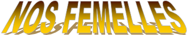 NOS FEMELLES
